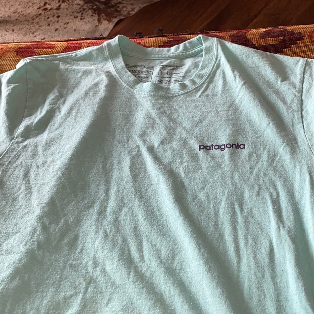 ⚡️Patagonia t shirt